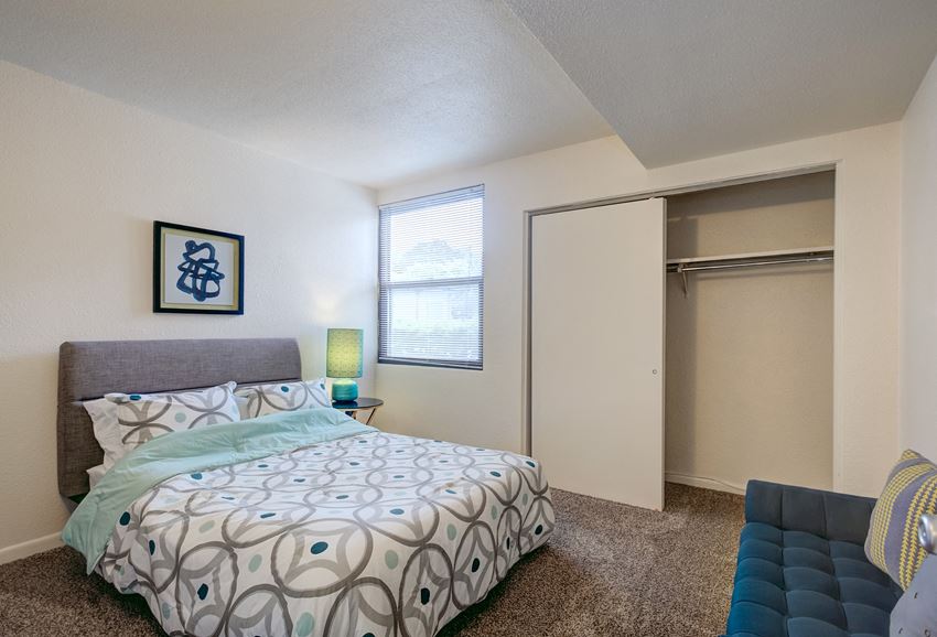 a bedroom with a bed and a closet