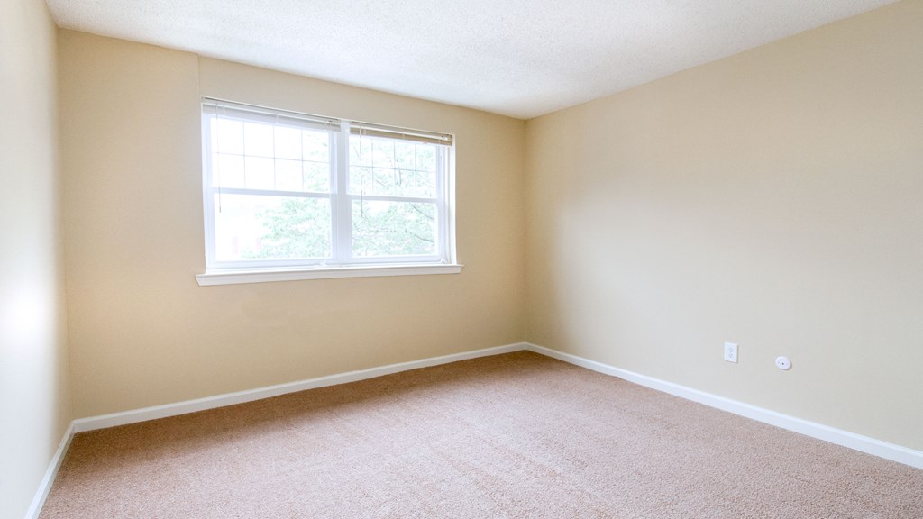 an empty room with a window and carpet