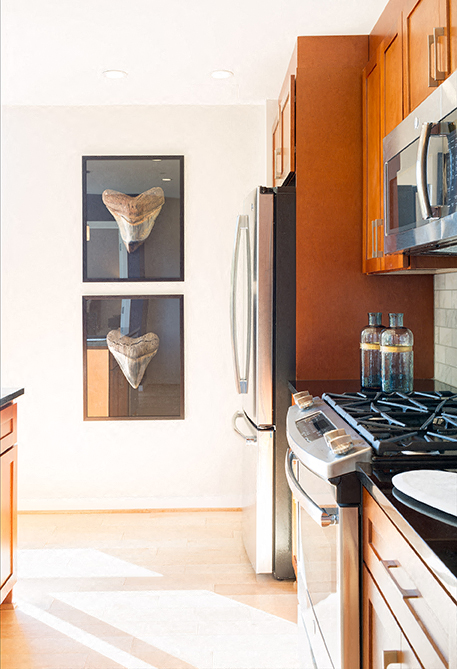 Park Van Ness Kitchen