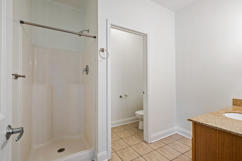 A bathroom with a walk-in shower and a toilet.