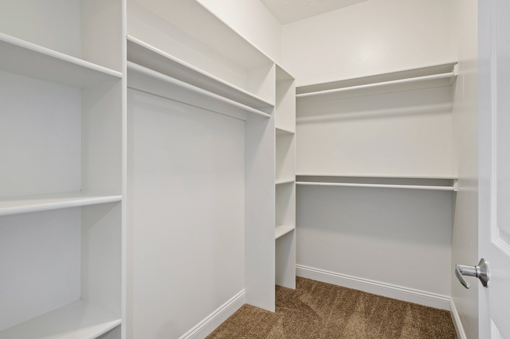 A white closet with shelves and a carpeted floor.