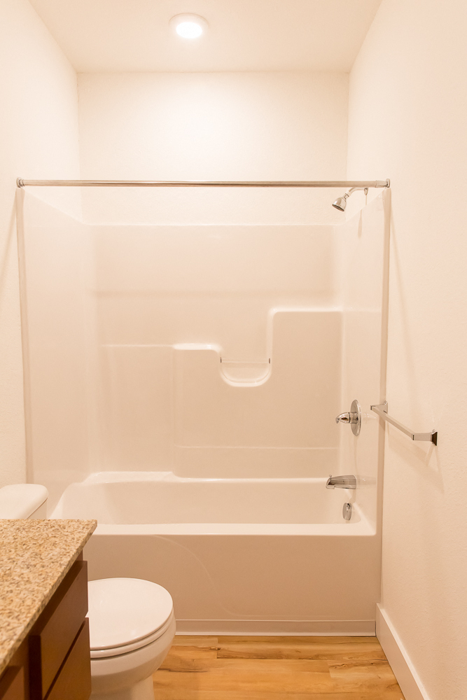 a bathroom with a shower and a toilet