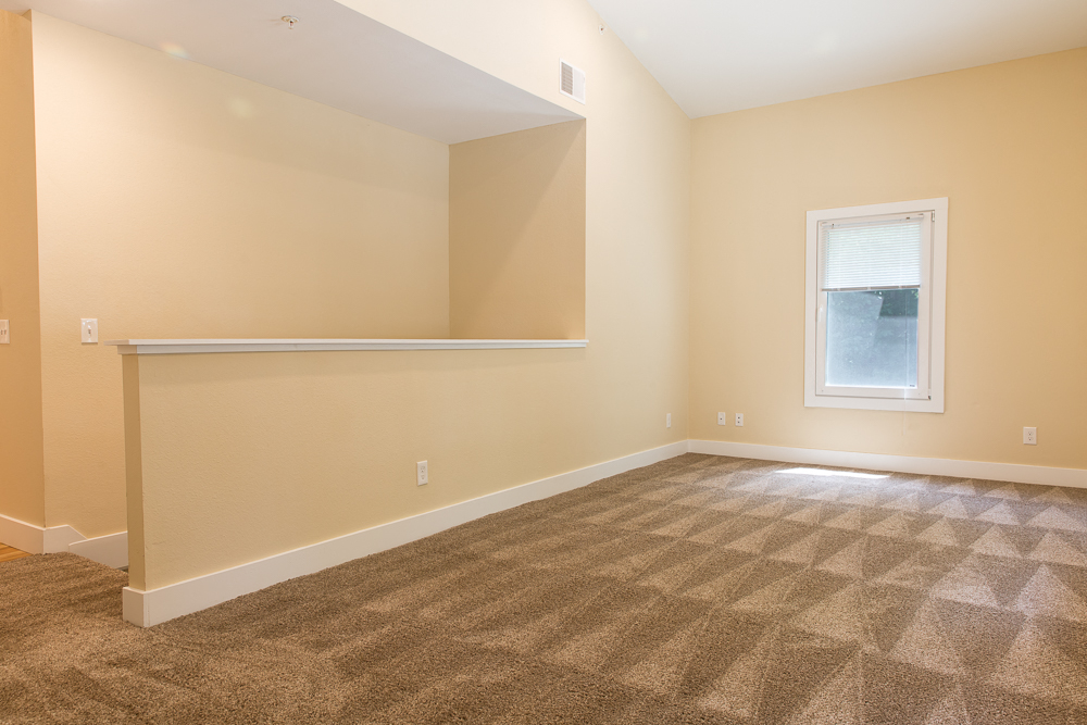 an empty living room with carpet and a window