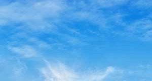 Rent Cheap Apartments In Alexandria Va From 1165 Rentcaf 233