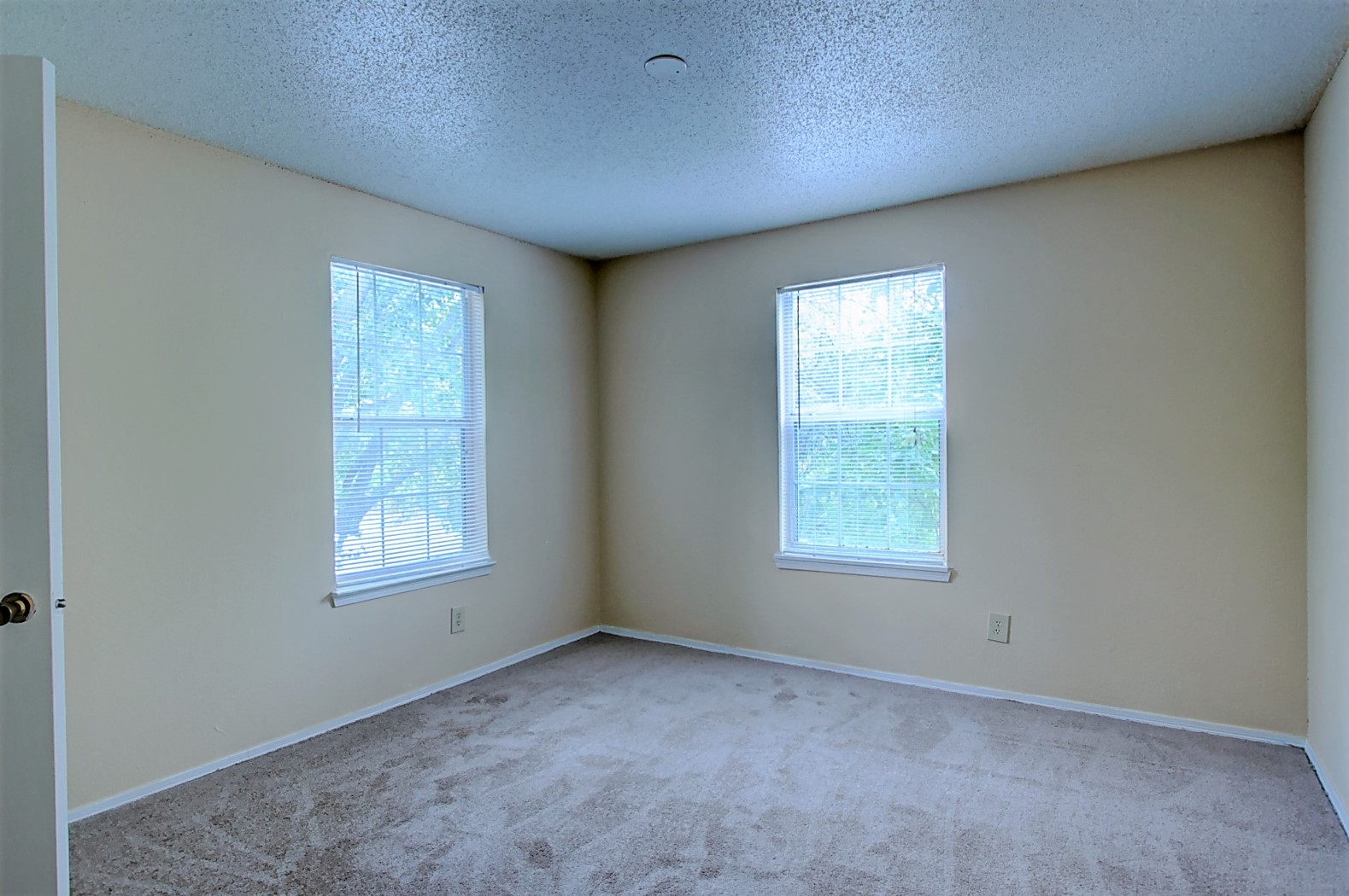 Image of large room with carpeting and windows