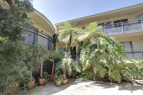 the front of the house with potted plants in the yard