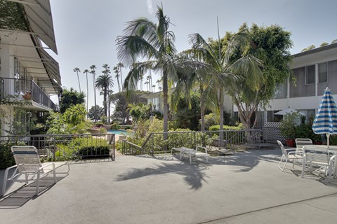 a patio with tables and chairs and palm trees