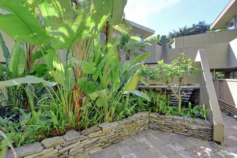 a stone retaining wall in a tropical garden