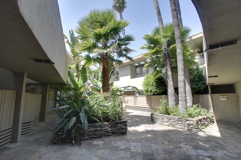 the palm trees in the courtyard of an apartment building