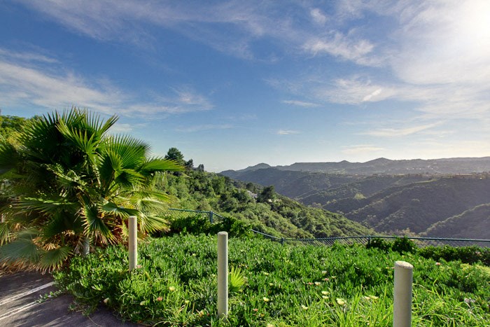 a view of the mountains and a palm tree
