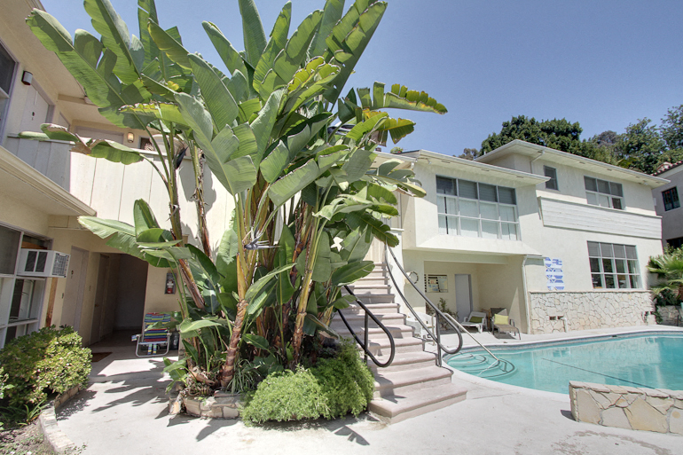 a large banana tree in front of a house with a swimming pool