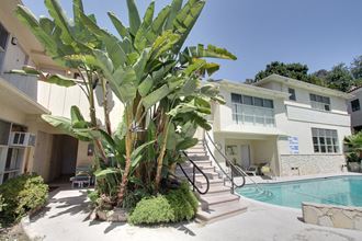 a large banana tree in front of a house with a swimming pool