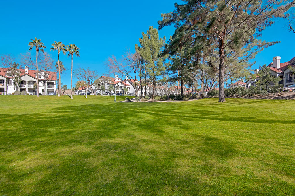 Green Space and Community Exterior | The Catherine Townhomes in Scottsdale