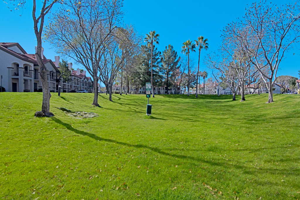 Well-Kept Grounds| The Catherine Townhomes in Scottsdale