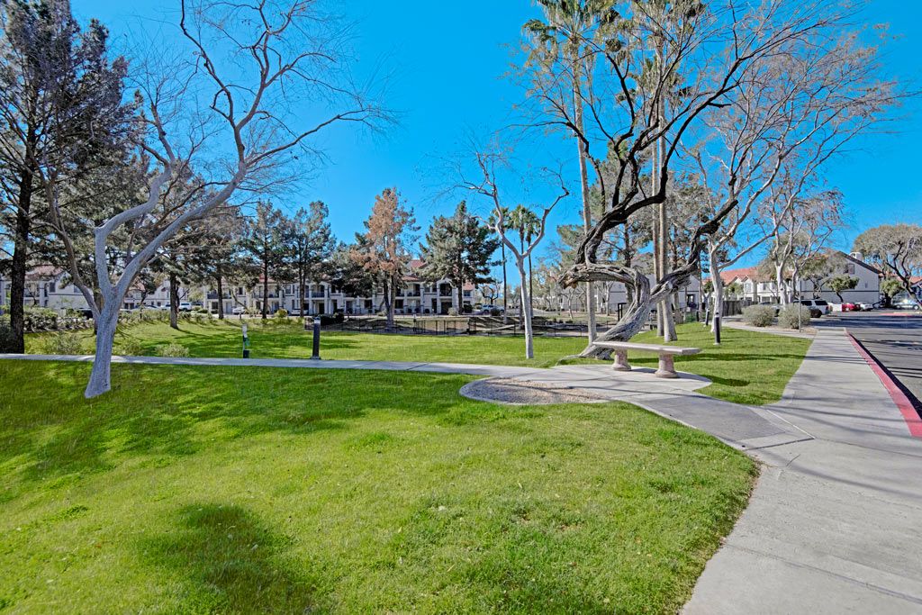 Tree Lined Walkway | The Catherine Townhomes in Scottsdale