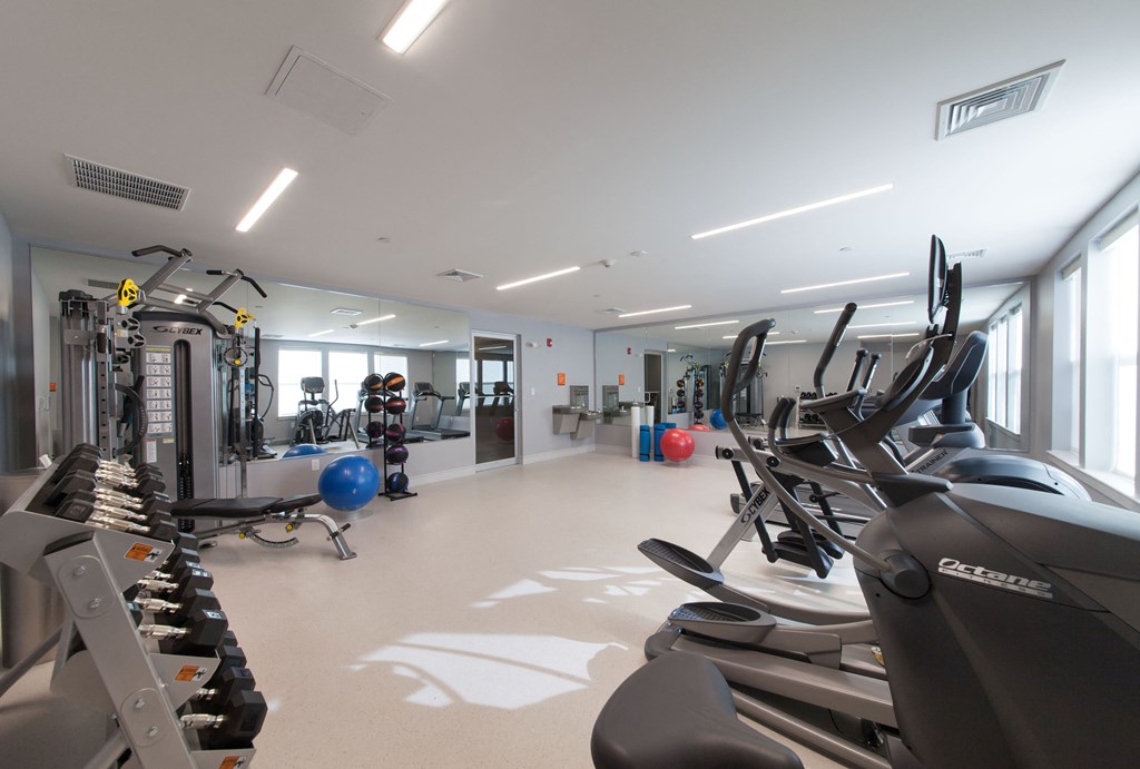 Bright, well-equipped fitness center with rows of cardio machines