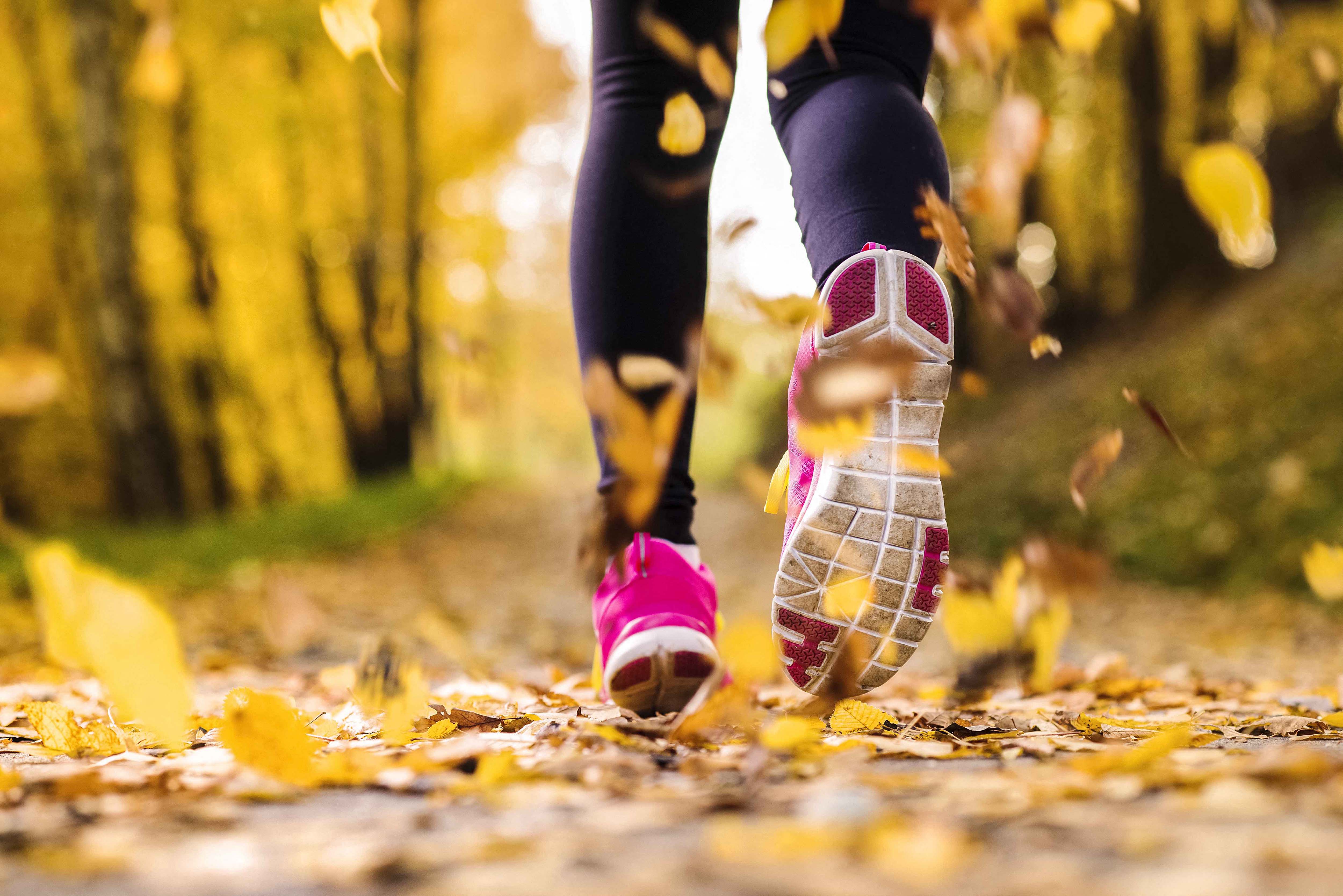 1 Whittemore Avenue 1-4 Beds Apartment for Rent - Photo Gallery 17