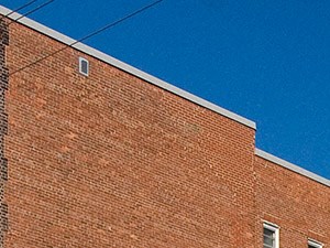 Del Ray Exterior