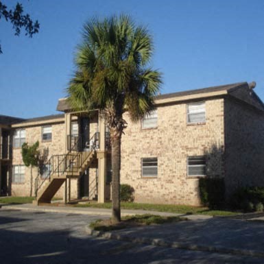 A palm tree stands in front of a stone building.