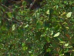 Emerald Point Apartments 4254 5th Ave Lake Charles La Rentcafe