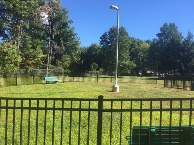 Dog Park