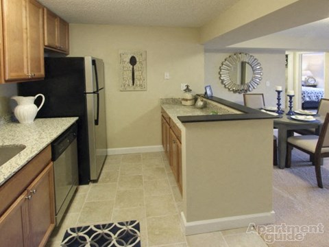 a kitchen with a black refrigerator and a sink
