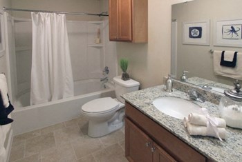 110 Brookline Road 1-3 Beds Apartment for Rent - Photo Gallery 10