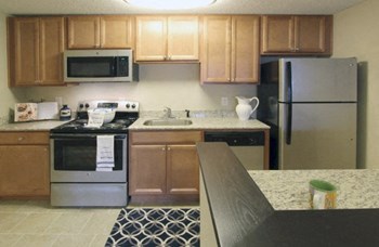 110 Brookline Road 1-3 Beds Apartment for Rent - Photo Gallery 6