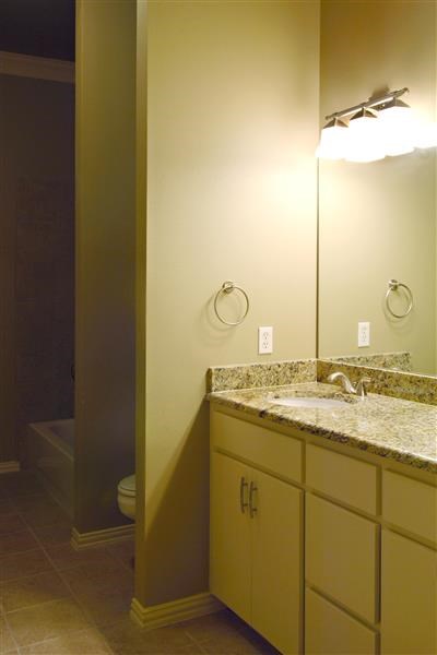 a bathroom with a sink and a mirror and a toilet