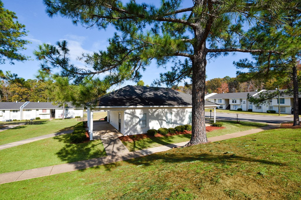 A tree stands in front of a white house.