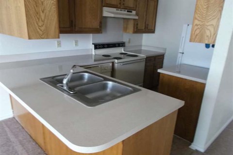 a kitchen with a sink and a stove and