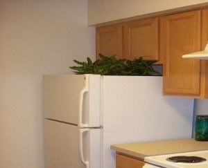 Hillcrest Apartments 2019 Hillcrest Street Mesquite Tx