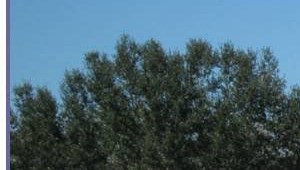 Lakewood Terrace Apartments Apartments In Lakeland Fl