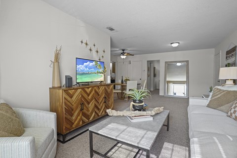 a living room with a couch and a coffee table and a television