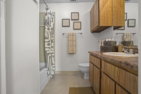 a bathroom with a shower and a sink and a toilet