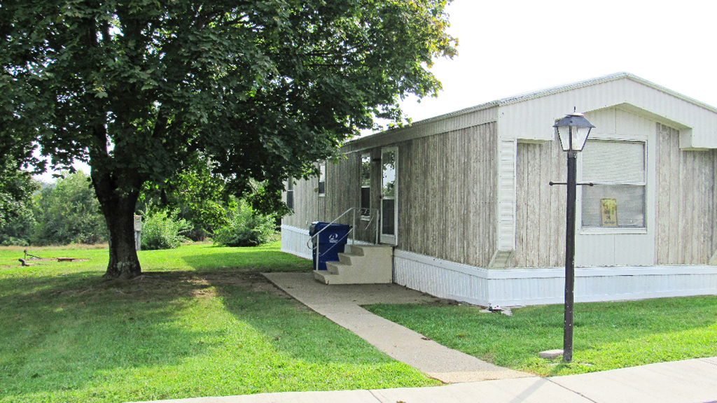 a small white house with a tree and a sidewalk