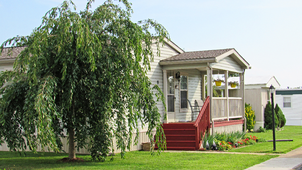 a white house with a weeping willow tree in front of it