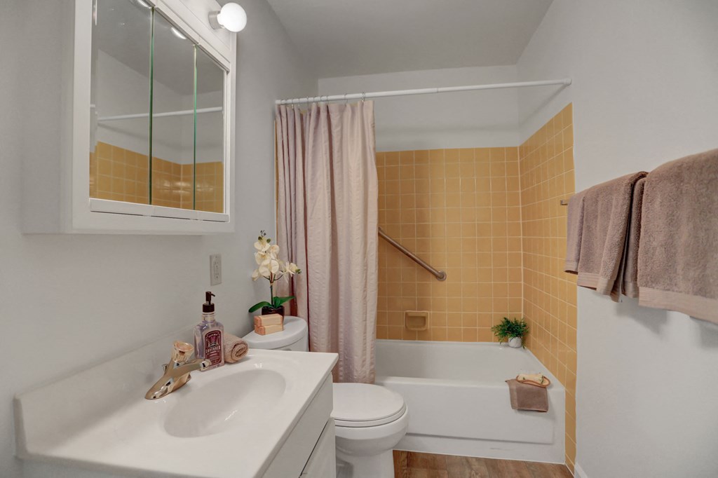 a bathroom with a sink and a toilet and a tub