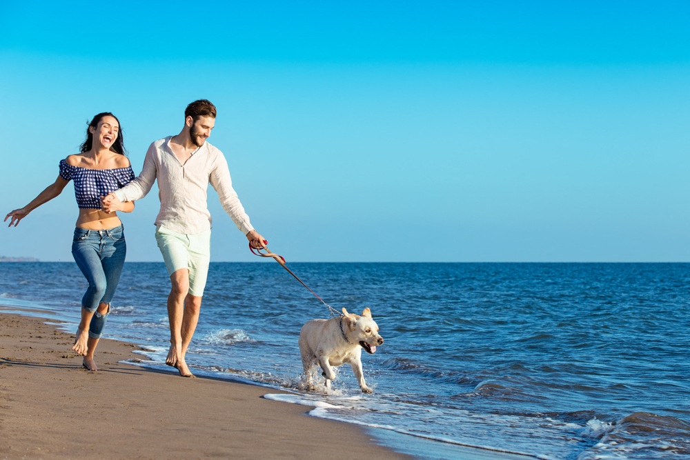The Summit at Point Loma_San Diego_people walking on beach with a dog