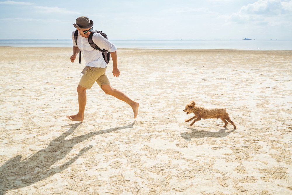 The Summit at Point Loma_San Diego_person walking on beach with a dog