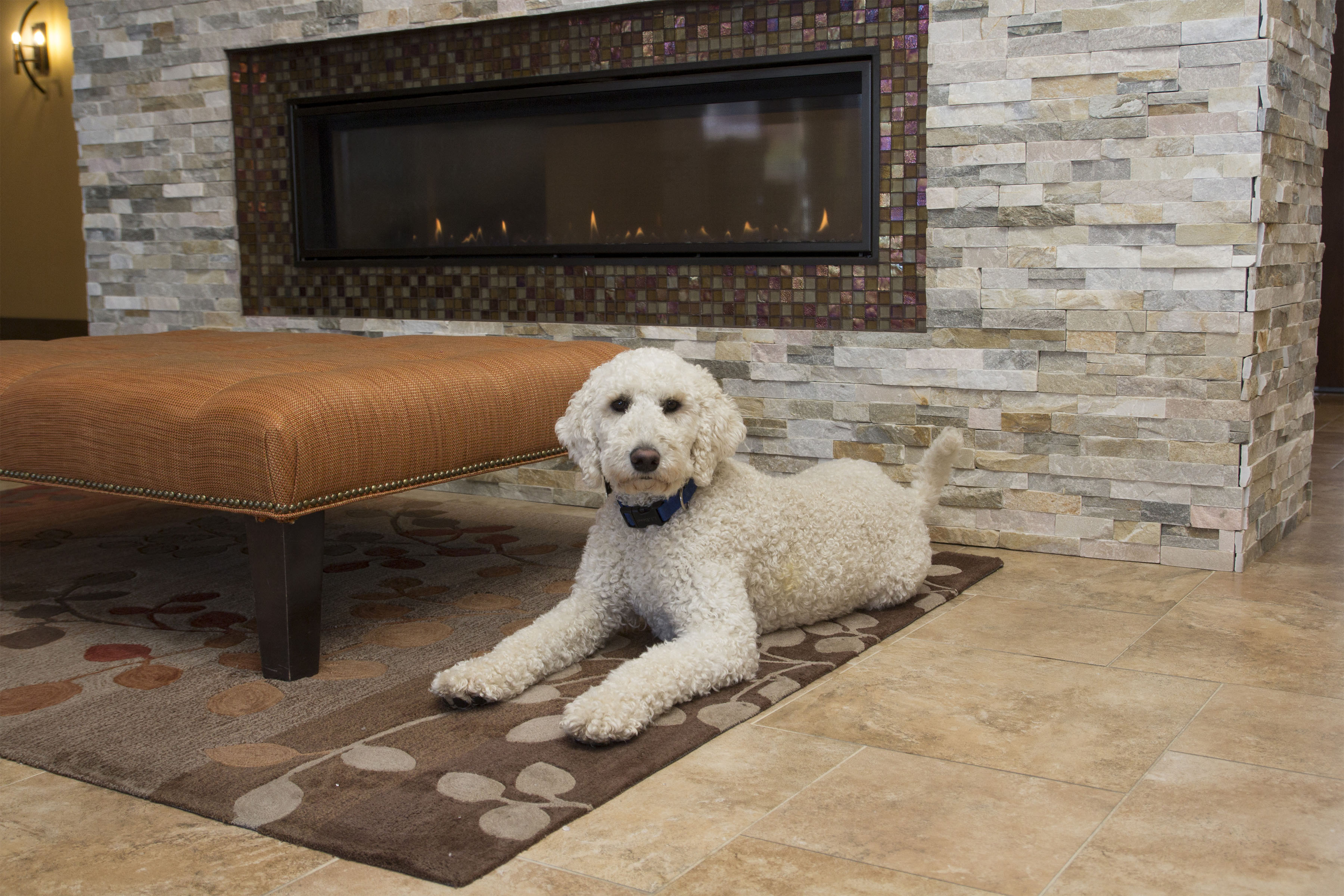 Fireplace Living at The Tuscany on Pleasant View, Wisconsin, 53717