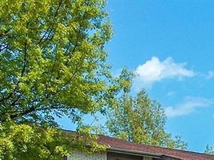 Cheap Studio Apartments Lexington Ky Cheap Studio Apartments Lexington Ky