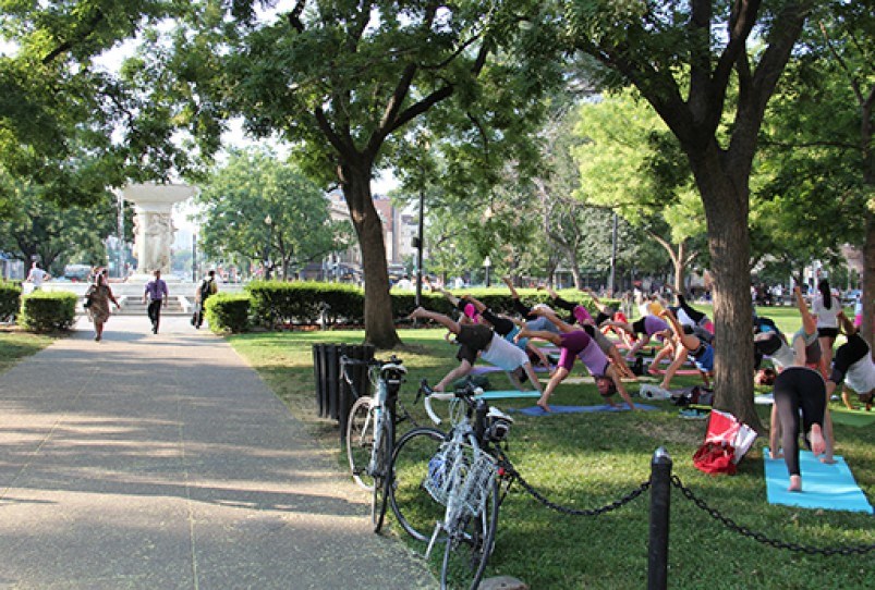 people doing yoga in a park on a sunny day