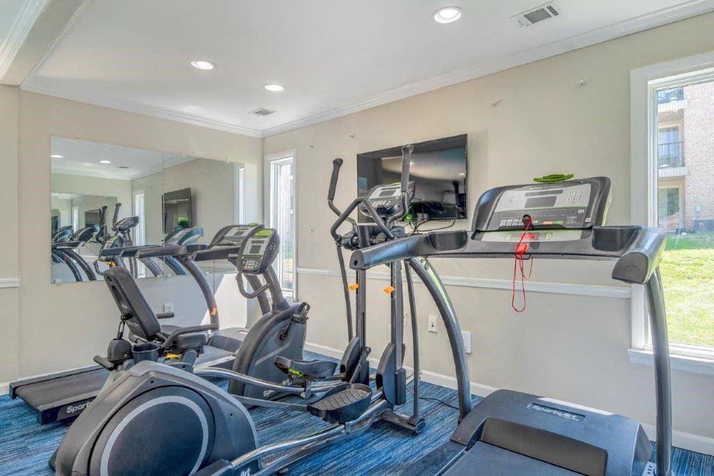 the gym is equipped with cardio equipment and a flat screen tv