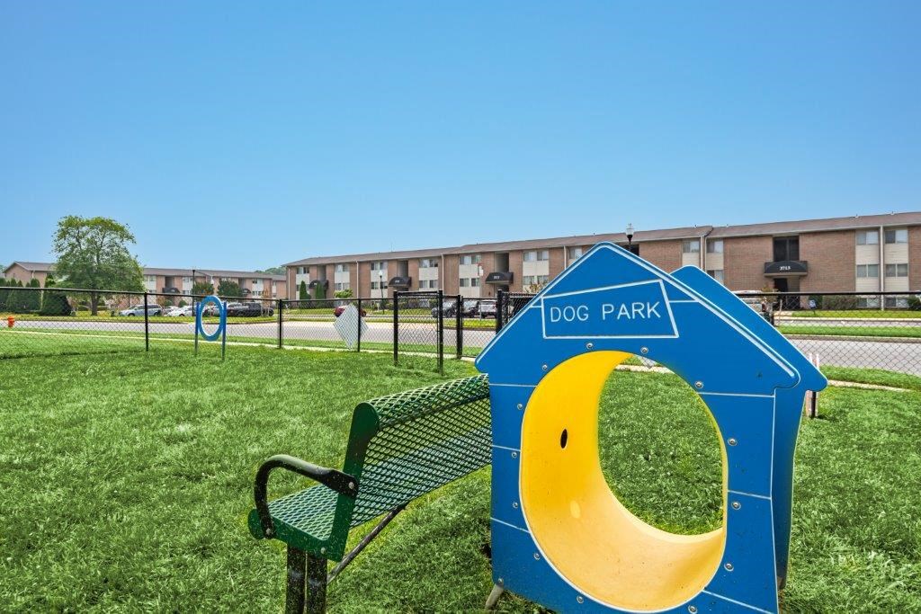 a dog park with a bench and a blue dog park