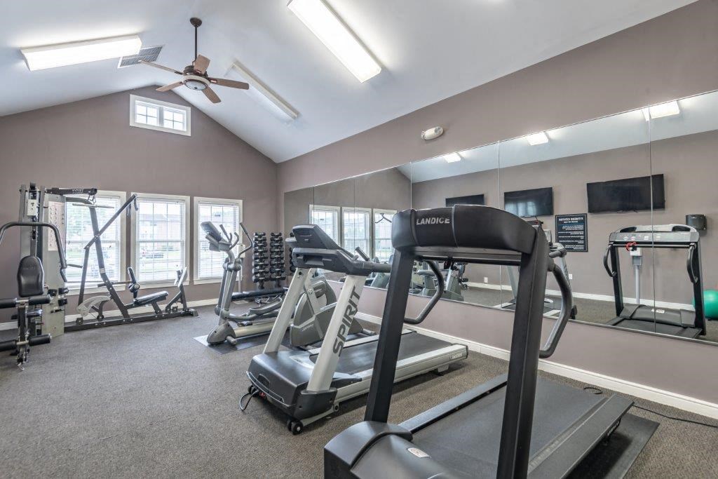 the gym is equipped with professional equipment including treadmills and ellipticals