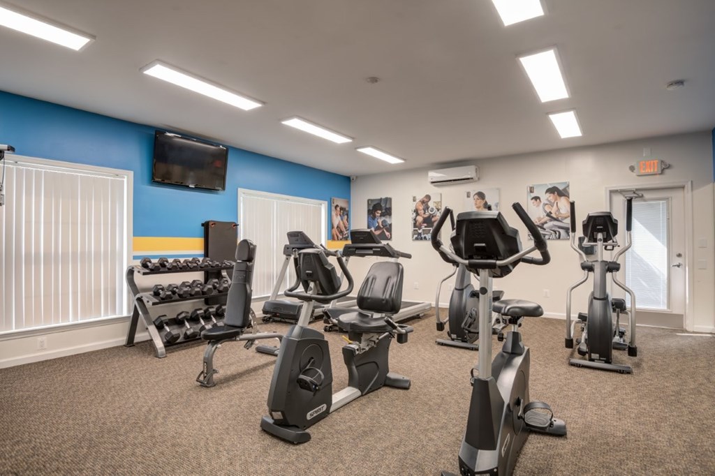 A gym with a variety of exercise equipment including treadmills, stationary bikes, and weight racks.