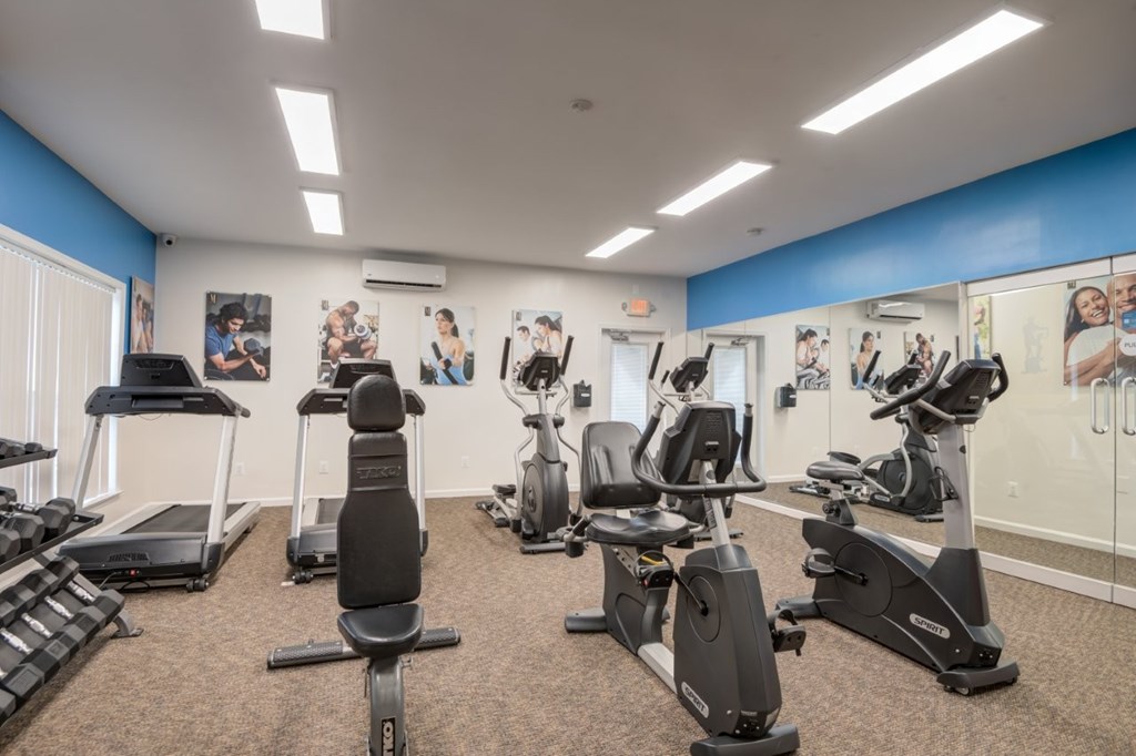 A gym with treadmills, exercise bikes, and other equipment.