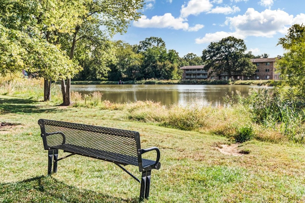 A park bench is situated in front of a lake.