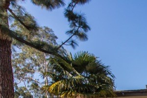 Apartments For Rent Near Concorde Career College Garden Grove